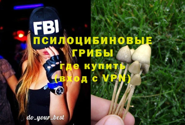 a pvp Богородицк