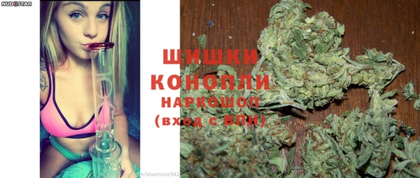 амф Богданович