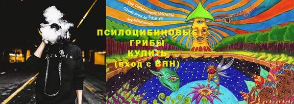 амф Богданович
