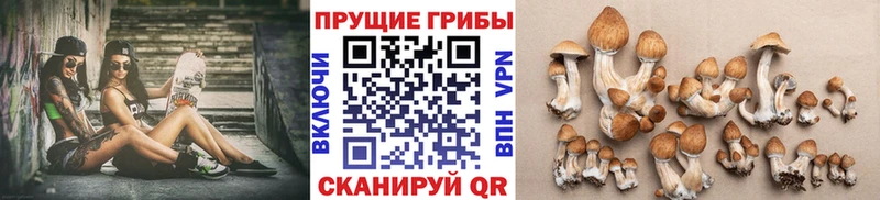 Галлюциногенные грибы прущие грибы  магазин продажи наркотиков  нарко площадка Telegram  Рязань 
